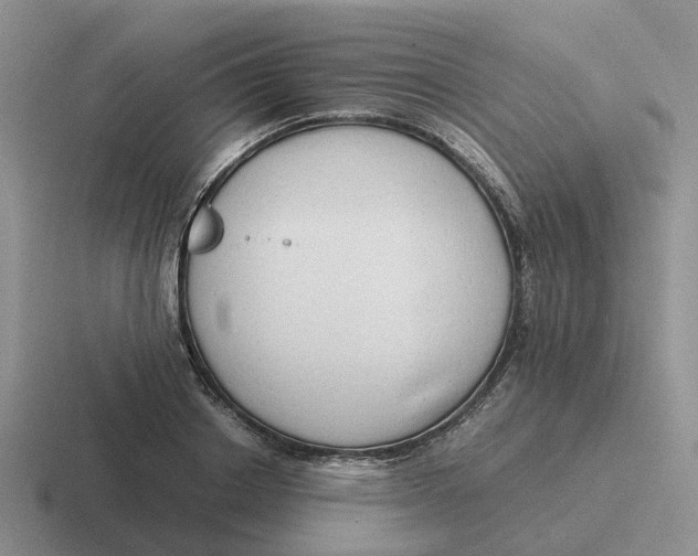 X0000116640842201001041029