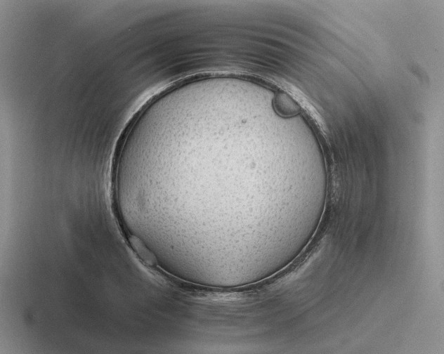 X0000116640845201001041029