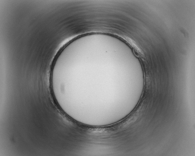 X0000116640846201001041029