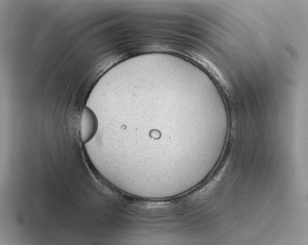 X0000116640849201001041029