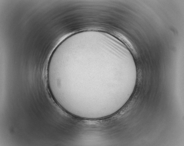 X0000116640852201001041029