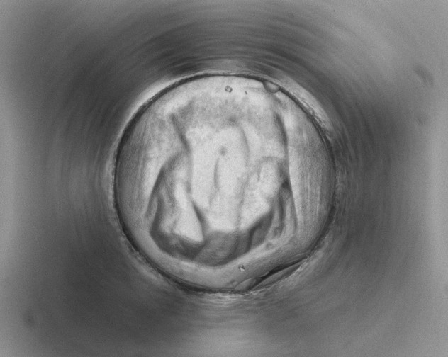 X0000116640854201001041029