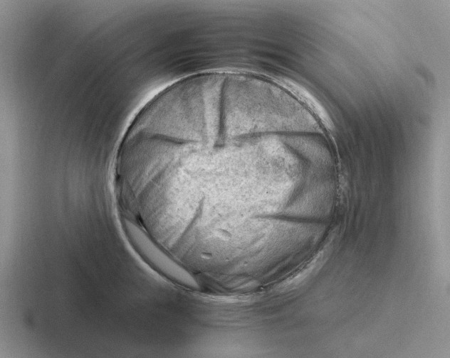 X0000116640855201001041029