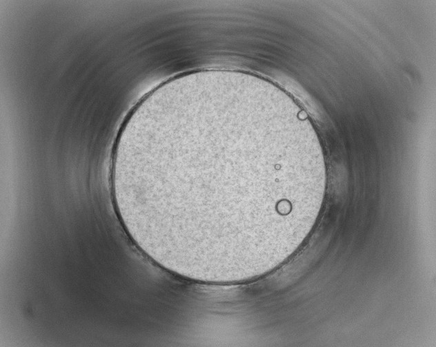 X0000116640856201001041029