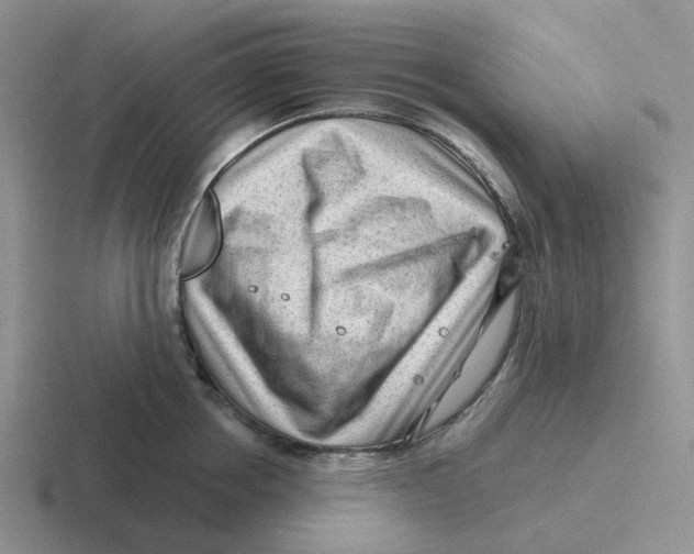 X0000116640858201001041029