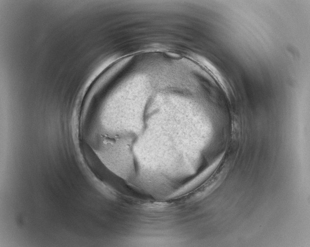 X0000116640859201001041029