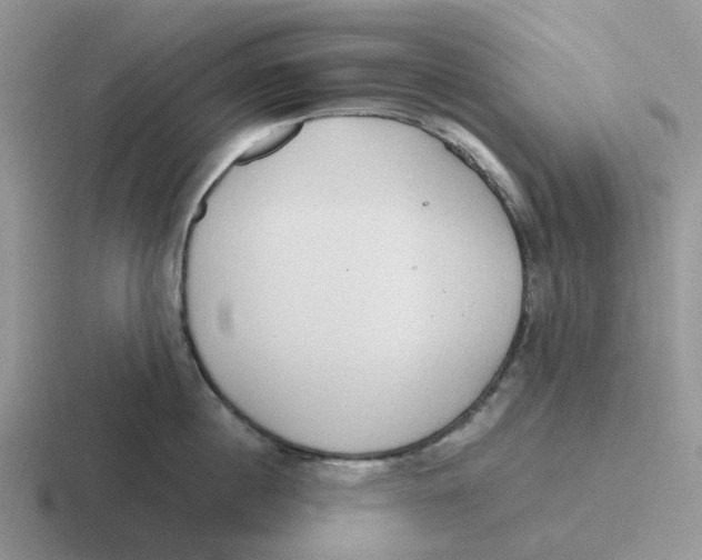 X0000116640860201001041029