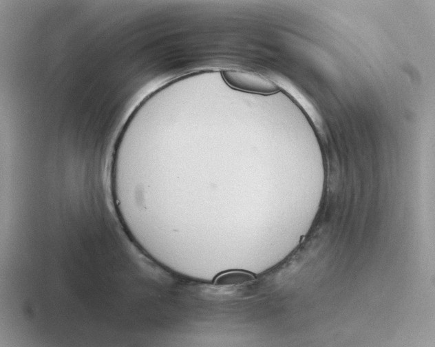 X0000116640861201001041029