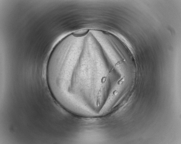 X0000116640862201001041029