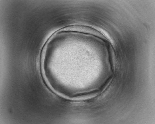 X0000116640863201001041029