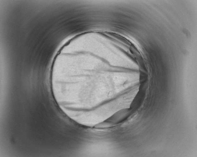 X0000116640864201001041029