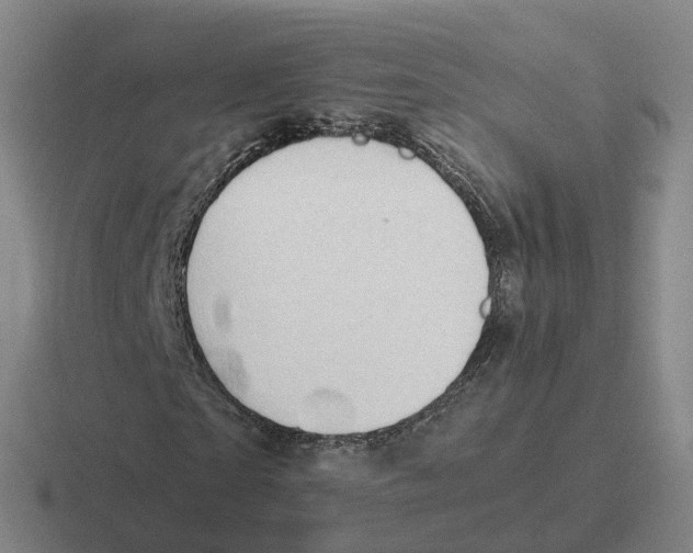 X0000116640865201001041029