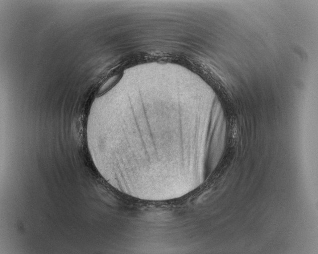 X0000116640868201001041029