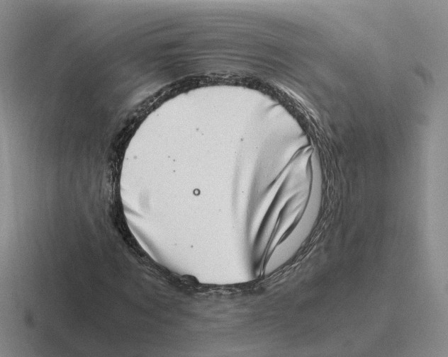 X0000116640869201001041029