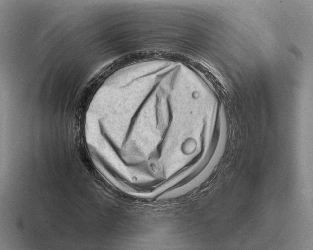 X0000116640872201001041029