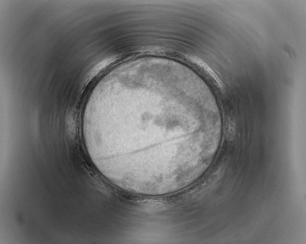 X0000116640874201001041029