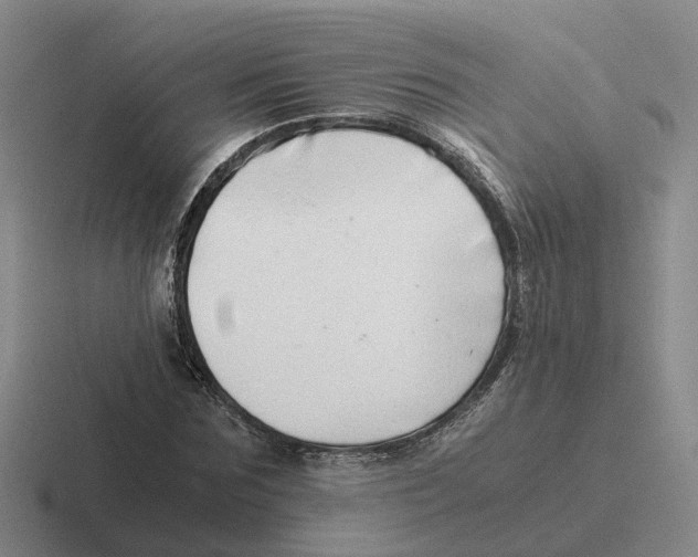 X0000116640875201001041029