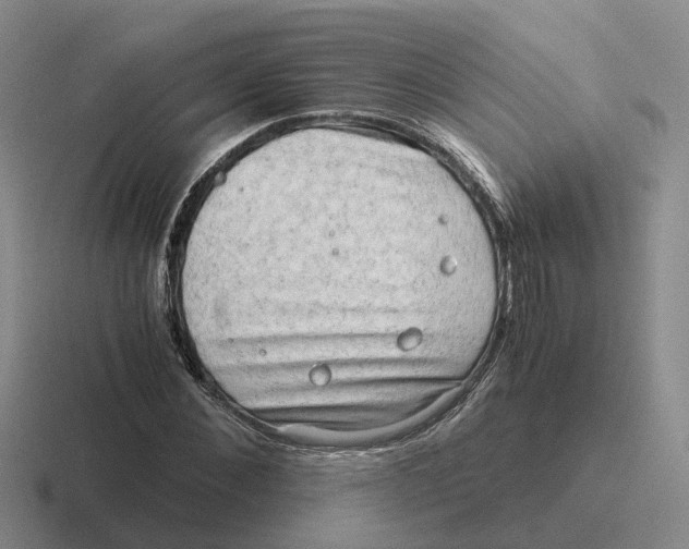 X0000116640876201001041029