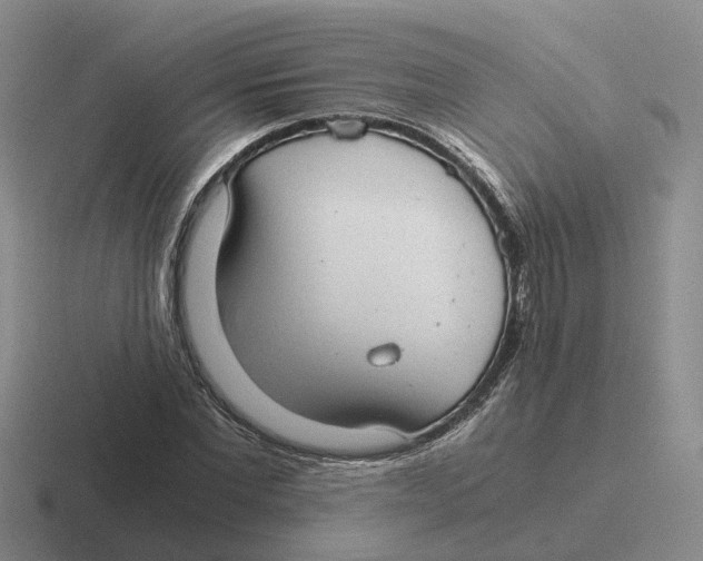 X0000116640877201001041029