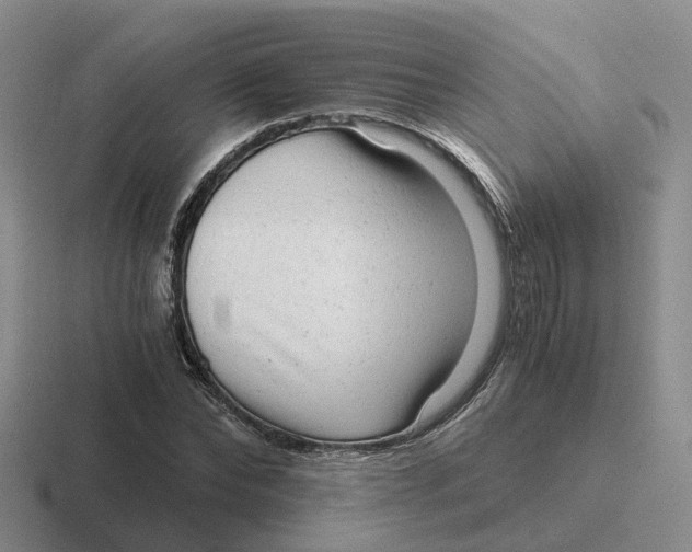 X0000116640878201001041029