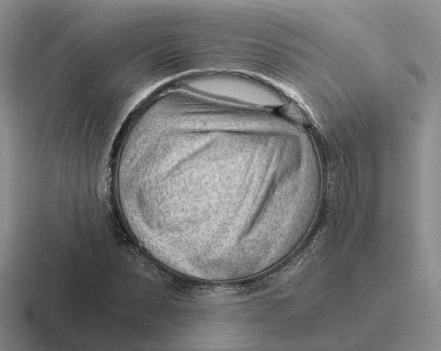 X0000116640879201001041029