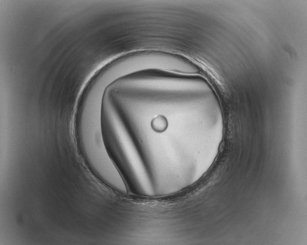 X0000116640880201001041029