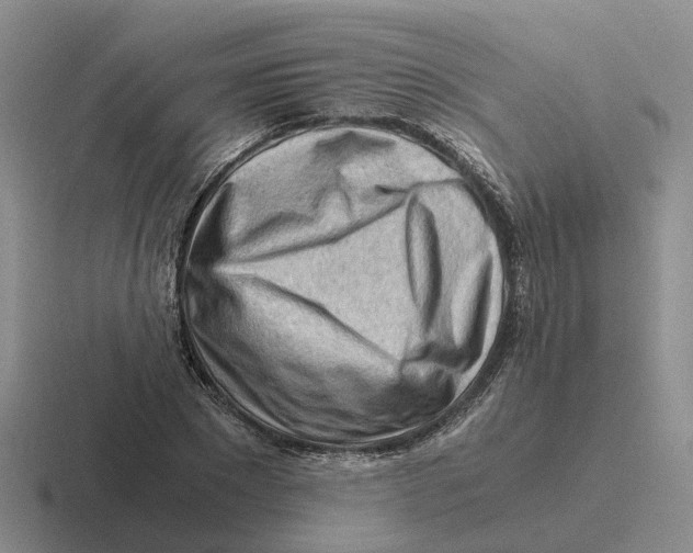 X0000116640881201001041029