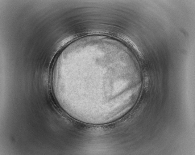 X0000116640882201001041029