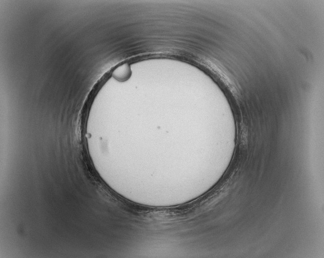 X0000116640883201001041029