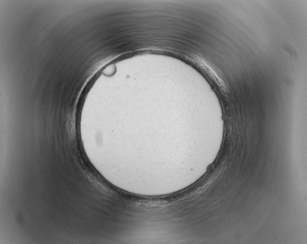 X0000116640884201001041029