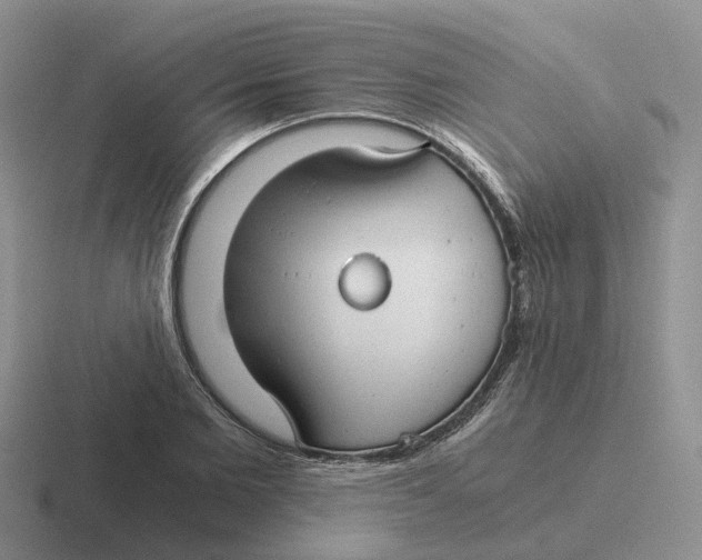 X0000116640885201001041029