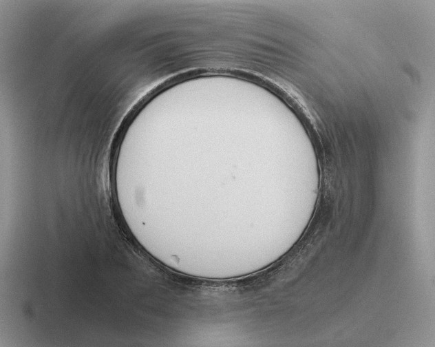 X0000116640887201001041029