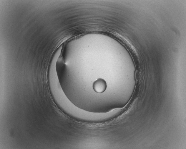 X0000116640889201001041029