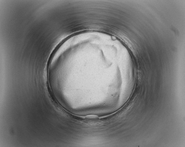 X0000116640891201001041029