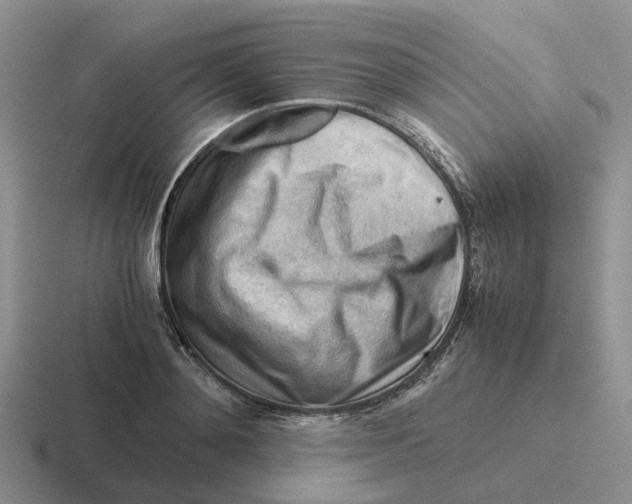 X0000116640892201001041029