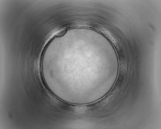 X0000116640893201001041028