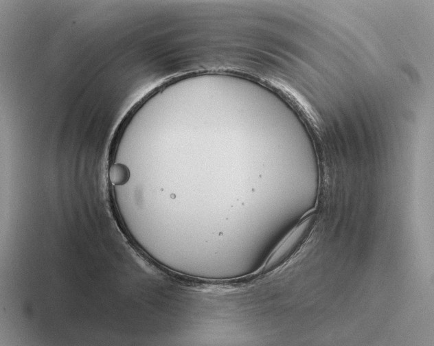 X0000116640894201001041028