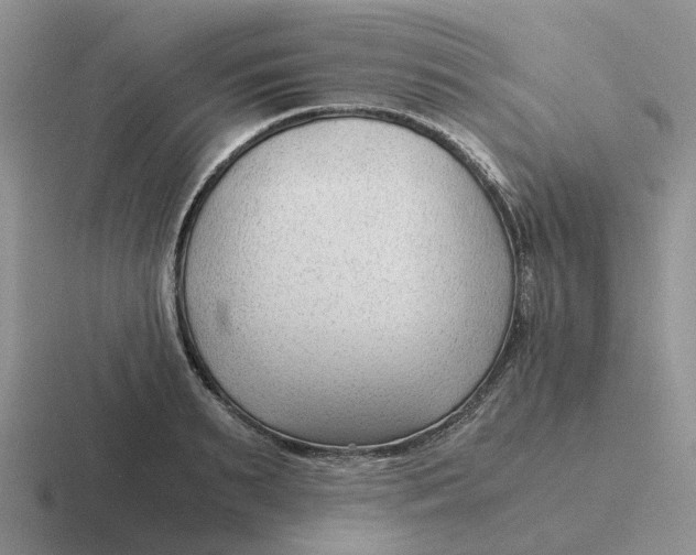 X0000116640895201001041028