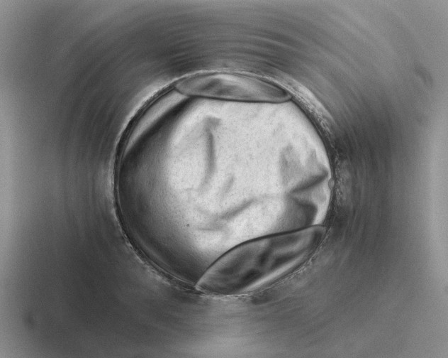 X0000116640896201001041028