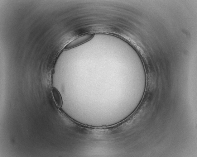 X0000116640897201001041028