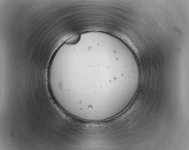 X0000116640898201001041028