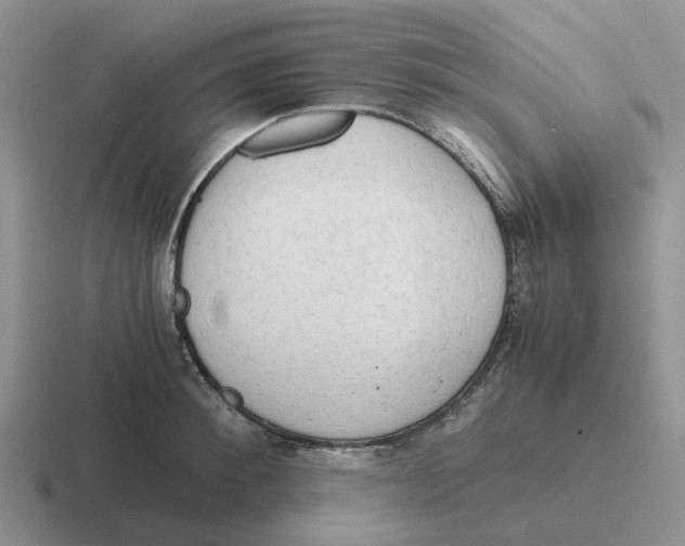 X0000116640900201001041028