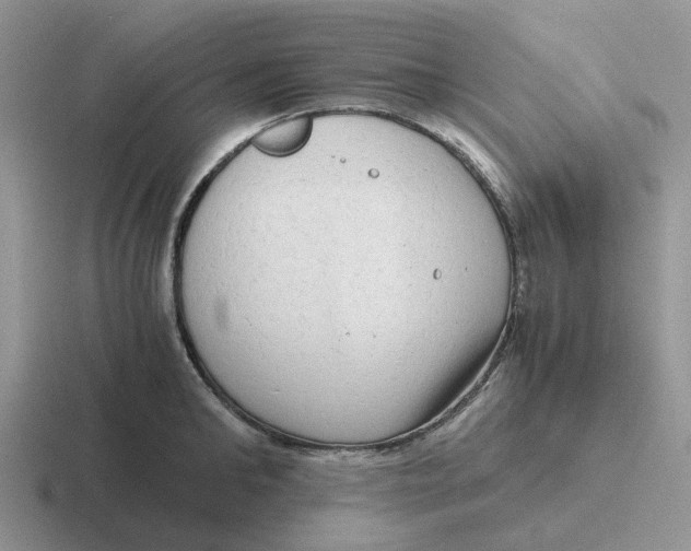 X0000116640902201001041028