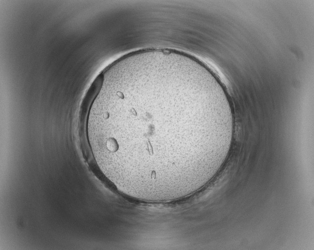 X0000116640903201001041028