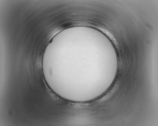 X0000116640905201001041028