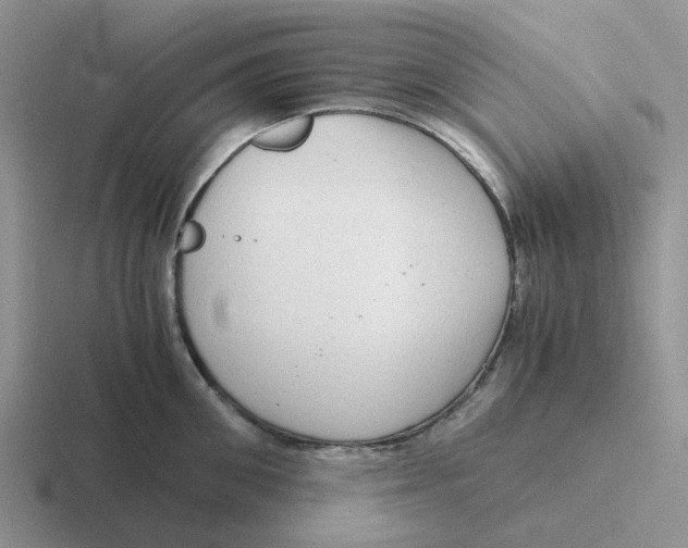 X0000116640906201001041028