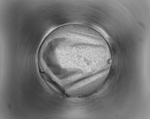 X0000116640907201001041028