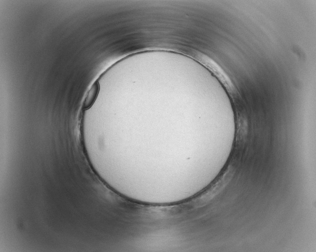 X0000116640908201001041028