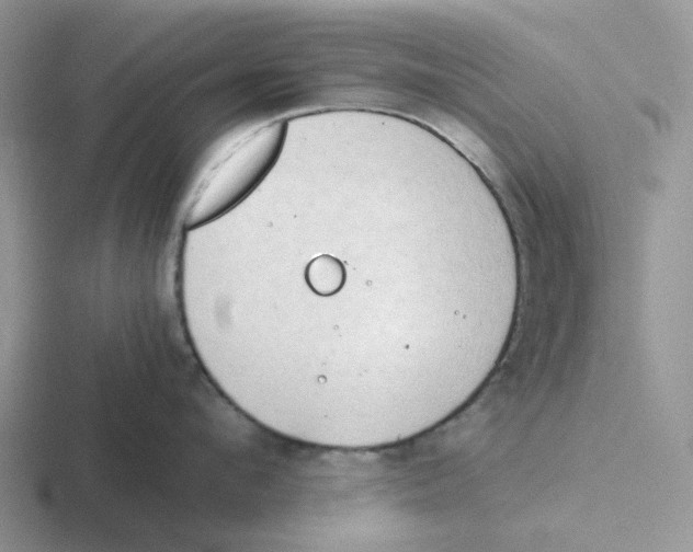 X0000116640912201001041028