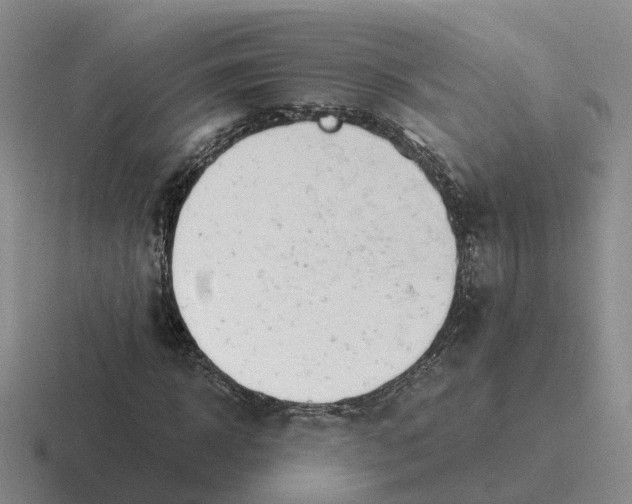 X0000116640918201001041028